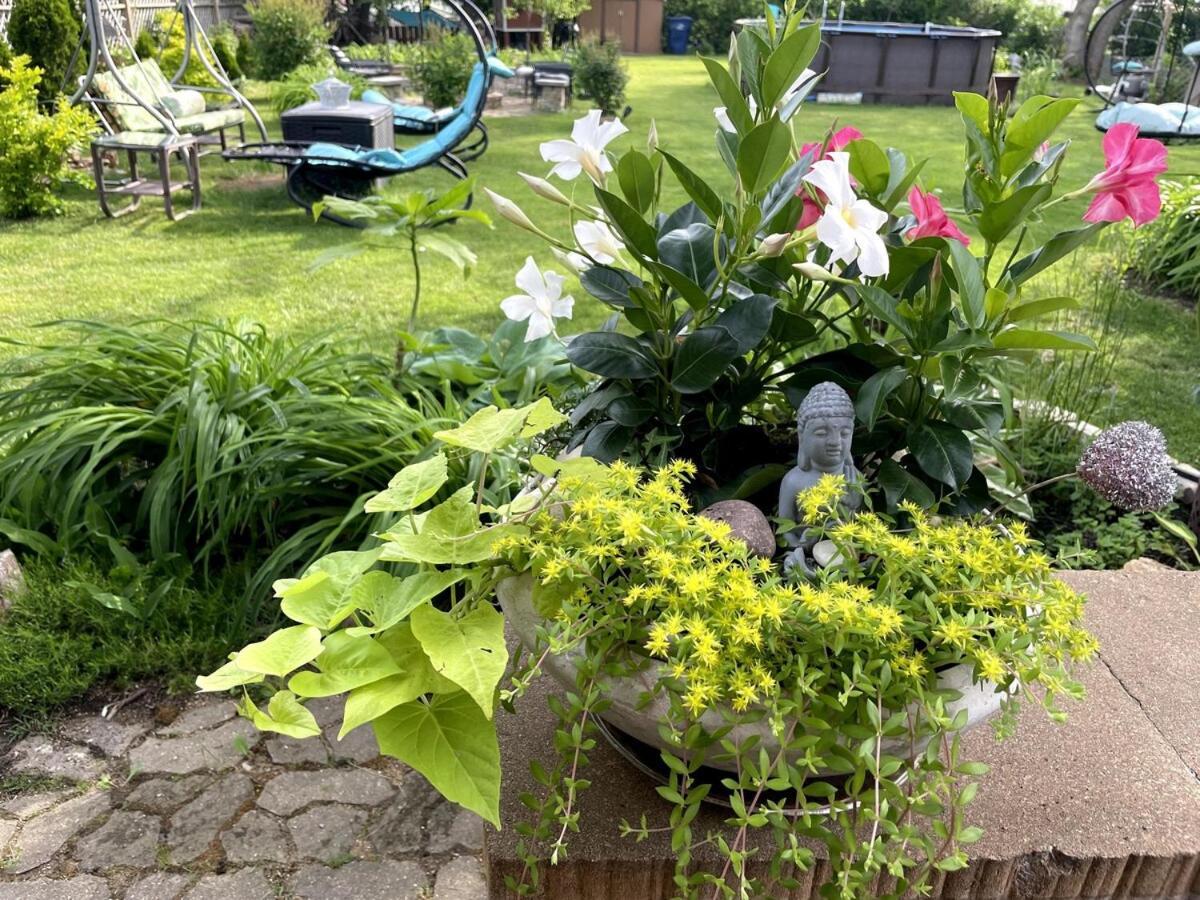Schaumburg Paradise Oasis With A Secret Garden And Private Pool Luaran gambar