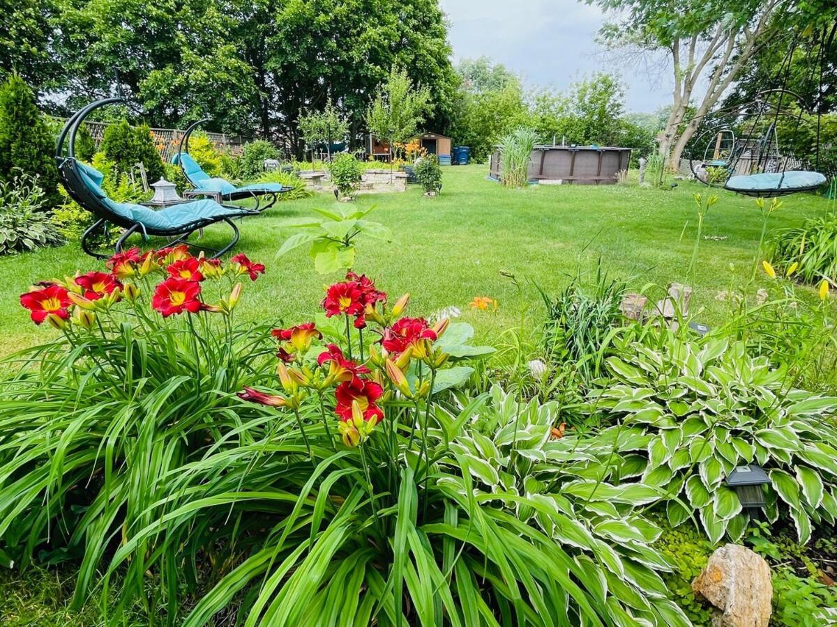 Schaumburg Paradise Oasis With A Secret Garden And Private Pool Luaran gambar